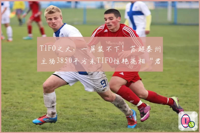 TIFO之大,一屏装不下!苏超泰州主场3850平方米TIFO惊艳亮相“君子不独乐,朋自姑苏来”